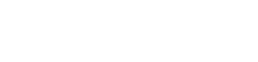 Financiado por la Unión Europea blanco
